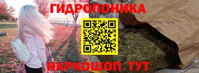 индика Мариинск