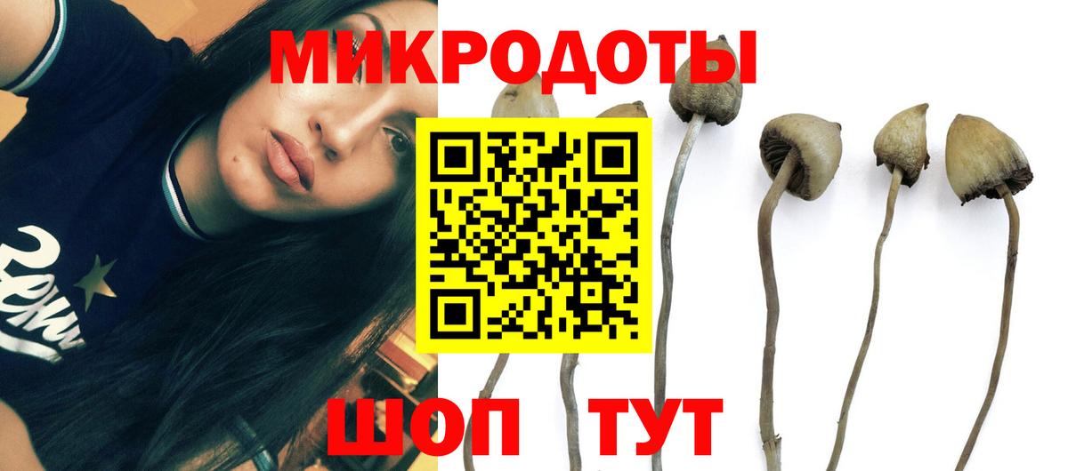 Златоуст  Псилоцибиновые грибы ЛСД  Вход с VPN  Псилоцибиновые грибы Psilocybe 
